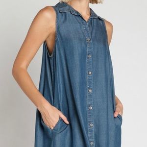 NWT denim button down dress